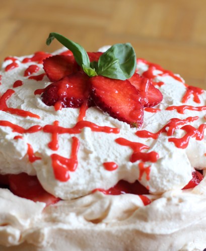 pavlova4